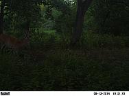 PICT0766