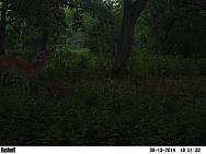 PICT0767