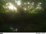 PICT2836