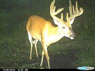 CDY 0070