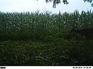 PICT0110