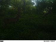 PICT0441