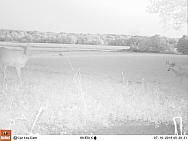 07100860
