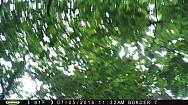 PICT0001