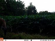 07300374