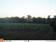 07300675
