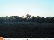 08290614