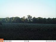08300646