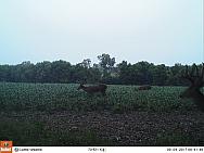 09040793