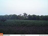 09090031