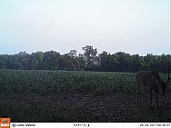 09090032