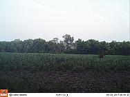 09090036