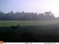 07310325