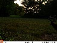 08010643