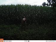 08050973