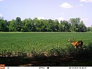 08100462