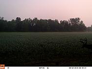 08220638