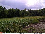 09180111