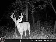 HUNT0096
