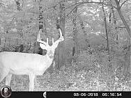 HUNT0422