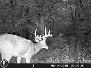 HUNT0554