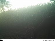 PICT0089