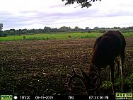 08150938