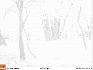 08260026