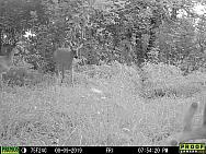 08090051