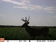 09050126