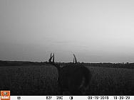 09190244