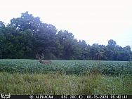 08150083