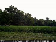 08250422