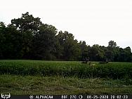 08250424