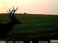 09200522
