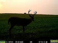 09200528