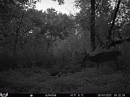 09040822