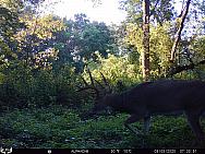 09050882