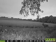 09090464