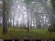 09100849