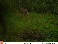 09200471