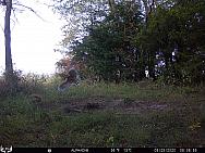 09250435