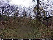 10230431 - Copy
