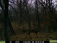 11220360