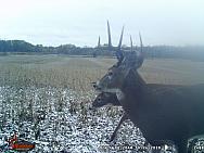 WGI 2488