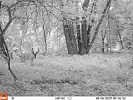 08050690
