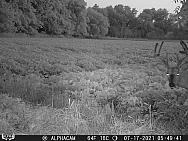 07170024