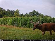 07170034
