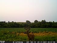 07170035