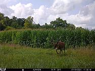 07190128